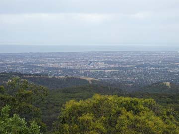 Adelaide