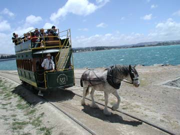 horse tram